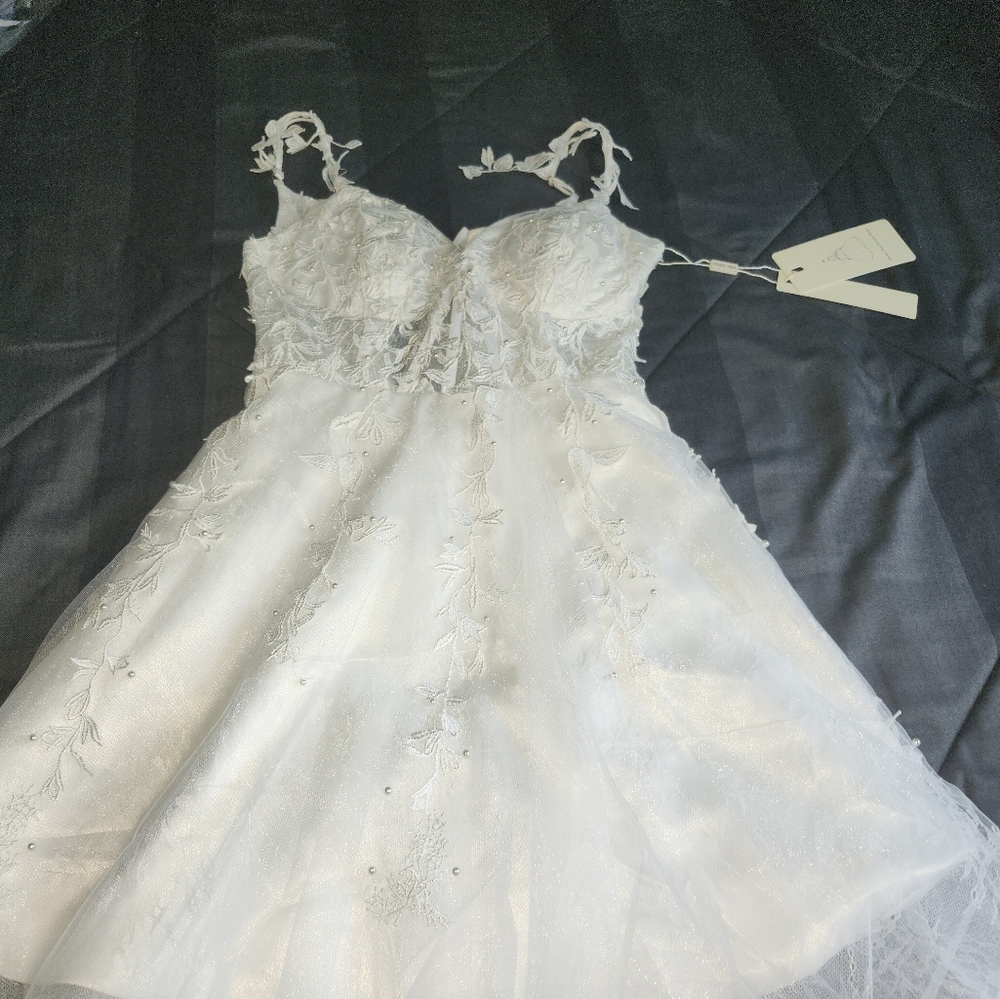 Dama dress only